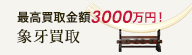 象牙の買取について詳しく見る